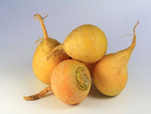 turnip